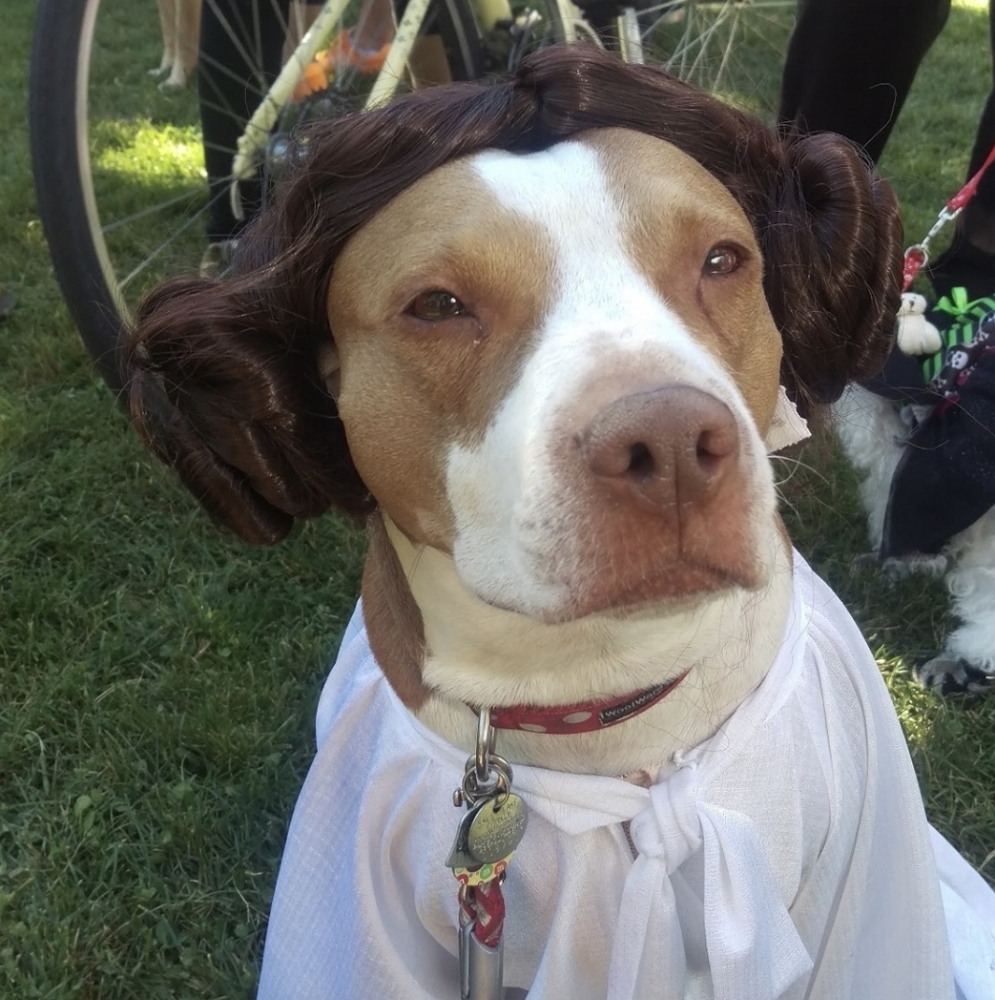 Meet your Posher, Sol